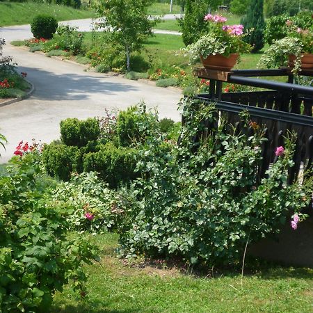 Apartments Tratincica Selište Drežničko Zewnętrze zdjęcie