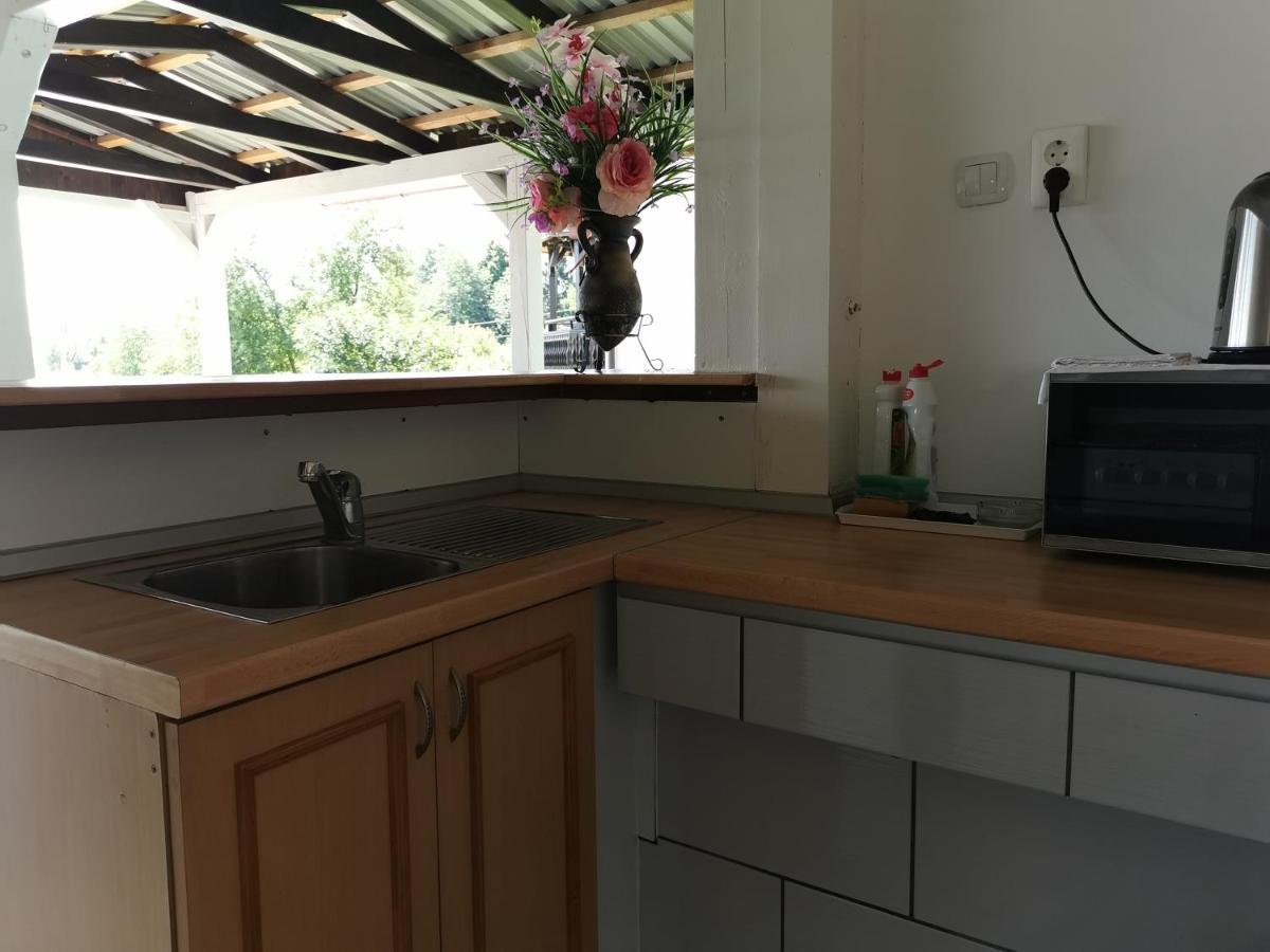 Apartments Tratincica Selište Drežničko Zewnętrze zdjęcie
