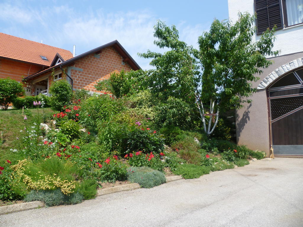 Apartments Tratincica Selište Drežničko Zewnętrze zdjęcie