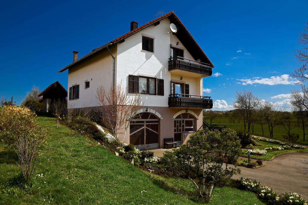 Apartments Tratincica Selište Drežničko Zewnętrze zdjęcie