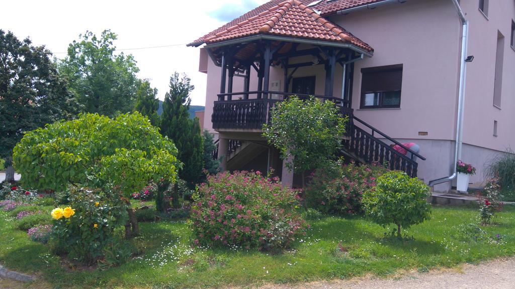 Apartments Tratincica Selište Drežničko Zewnętrze zdjęcie