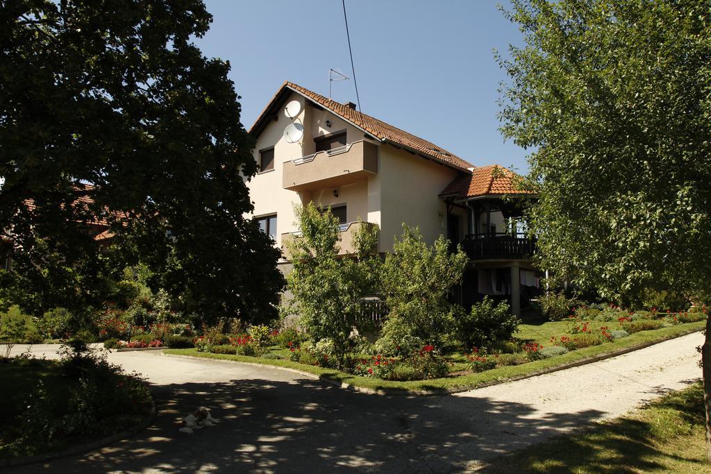 Apartments Tratincica Selište Drežničko Zewnętrze zdjęcie
