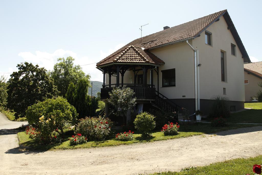 Apartments Tratincica Selište Drežničko Zewnętrze zdjęcie